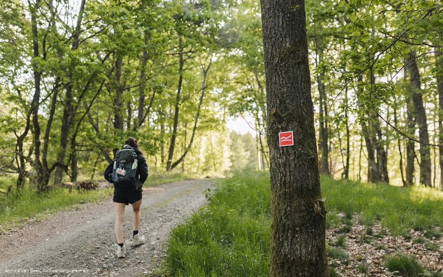 Wanderin auf dem Rothaarsteig bei Rodenbach
