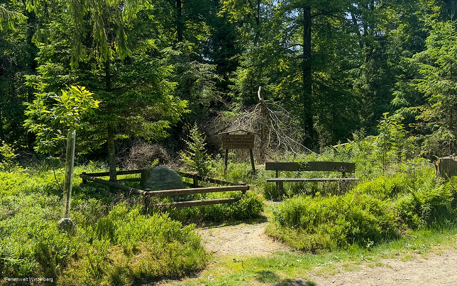 Ein beschriftetes Holzschild neben einer Bank umgeben von Wiese und Wald.