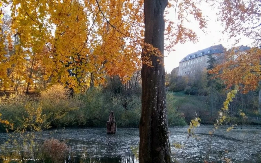 Schlossteich Canstein
