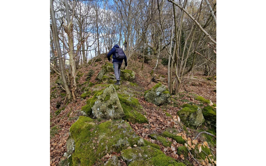 Pfad Bestweg Ostwig Steinberg.jpg
