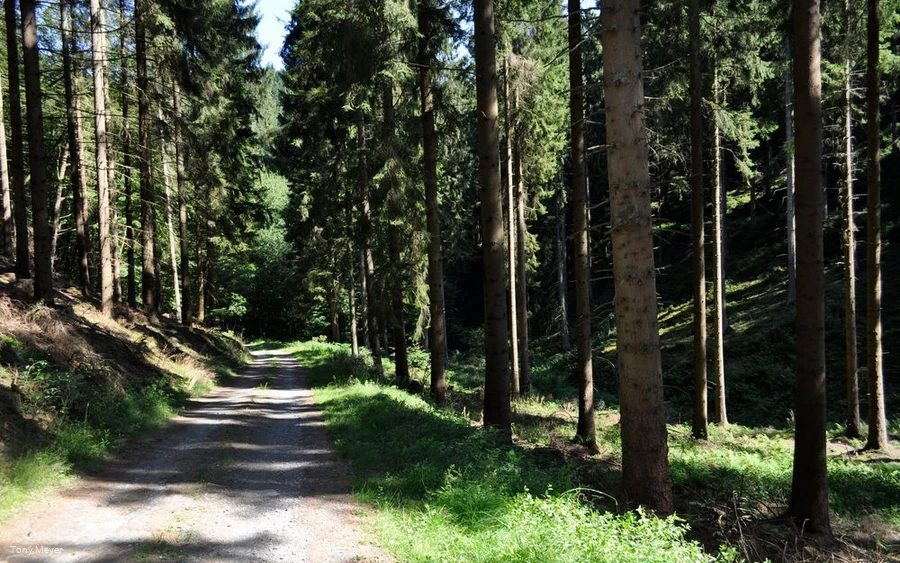 Naturschutzgebiet Bommecketal Naturschutzgebiet Bommecketal