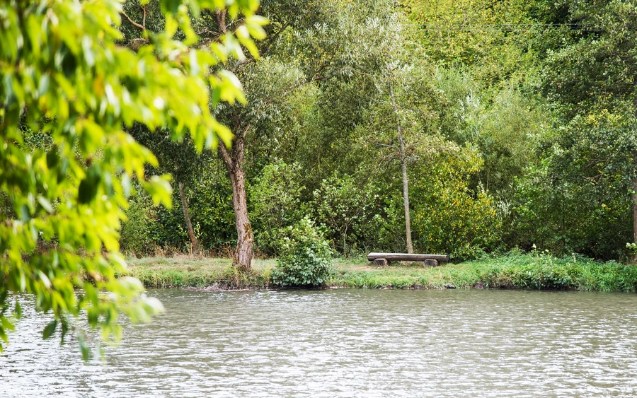 Ruhe genießen am Seeufer
