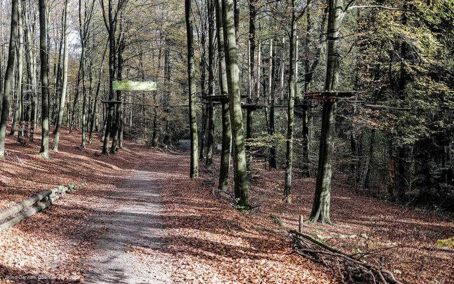 Der Weg führt durch den Kletterwald hindurch