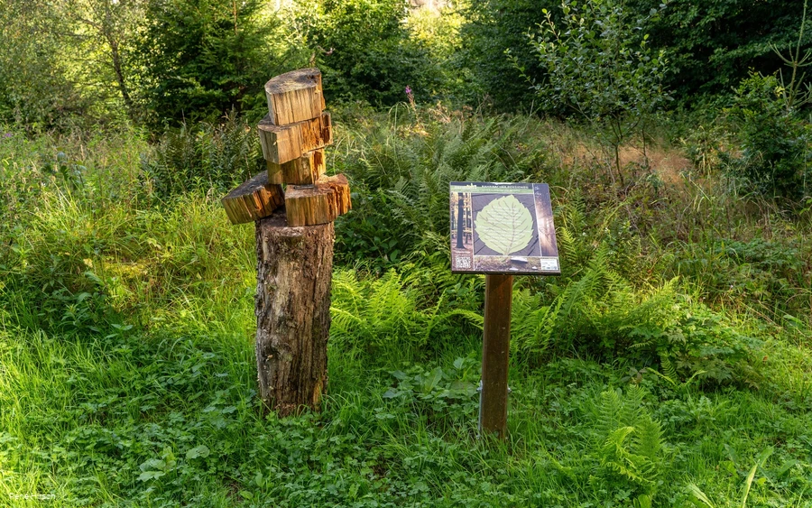 Verweil-Ort Lebensringe