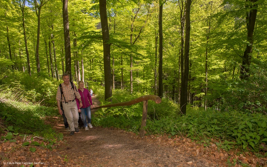 Wandern im Schmallenberger Sauerland