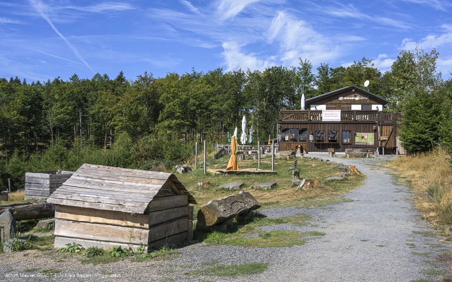 Wisent-Hütte