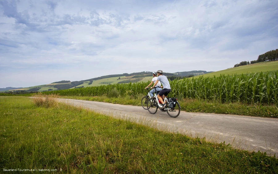 Twee fietsers op tour door groene natuur.