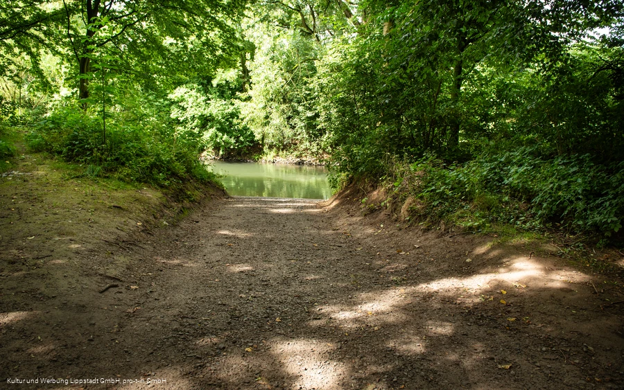 Kanueinstieg Rebbeke Zur Neuen Brücke (c) KWL Kultur und Werbung Lippstadt GmbH Pro-t-in Gm.jpg