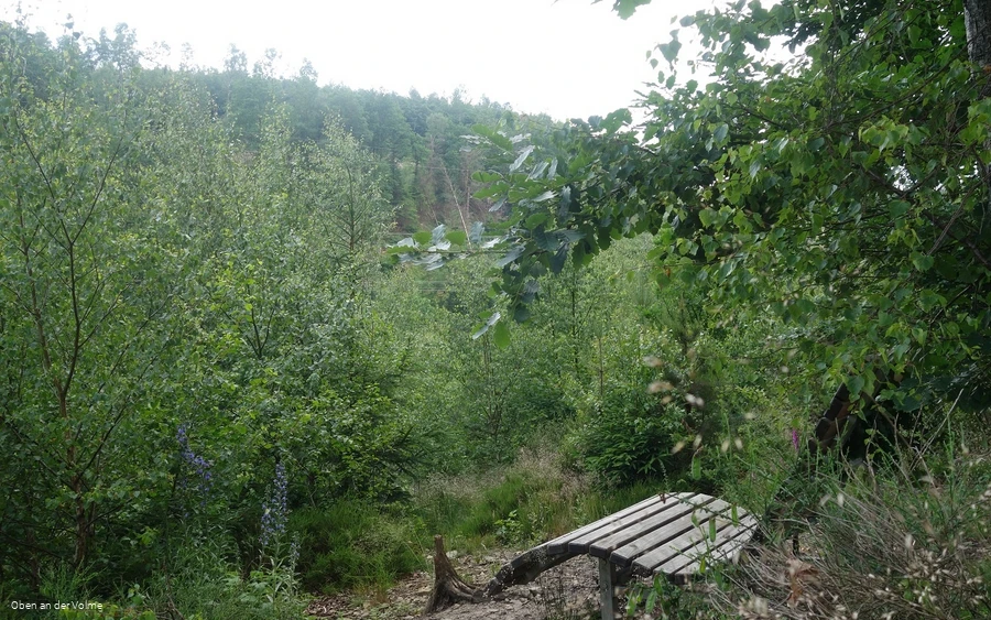 Waldsofa mit Sagenplakette