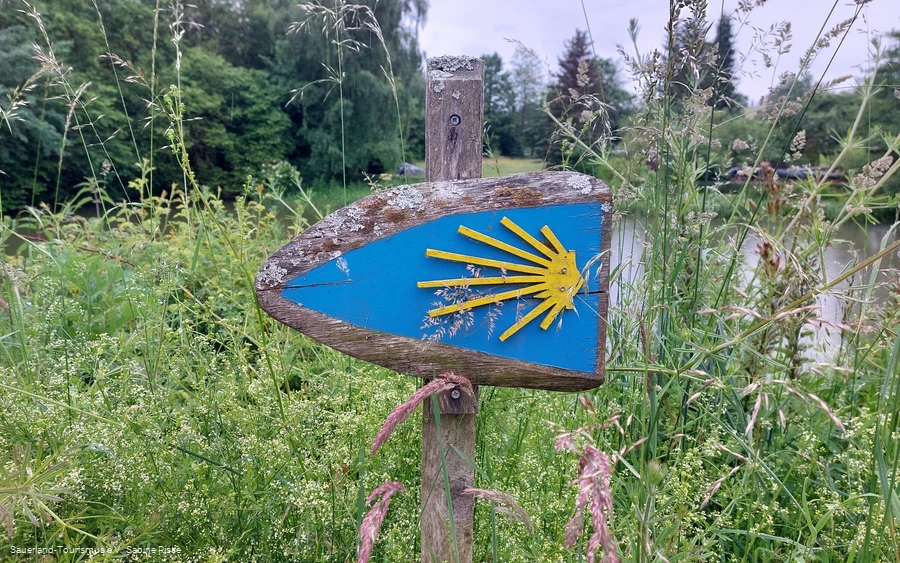 Jakobsmuschel Markierungszeichen