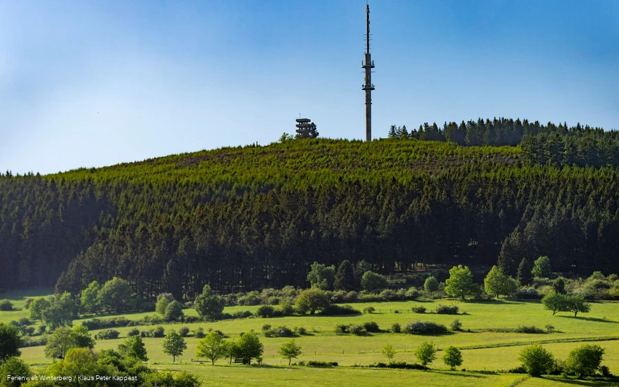 FerienweltWinterberg_2018_Hallenberg_Hesborn_Bollerberg Aussichtsturm Landschaft_Sommer_low_Klaus-Peter Kappest (1).jpg FerienweltWinterberg_2018_Hallenberg_Hesborn_Bollerberg Aussichtsturm Landschaft_Sommer_low_Klaus-Peter Kappest (1).jpg