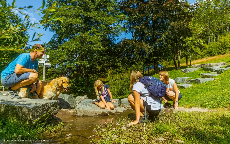 familie-diemelquelle c) david-heise-tourist-information-willingen.jpg