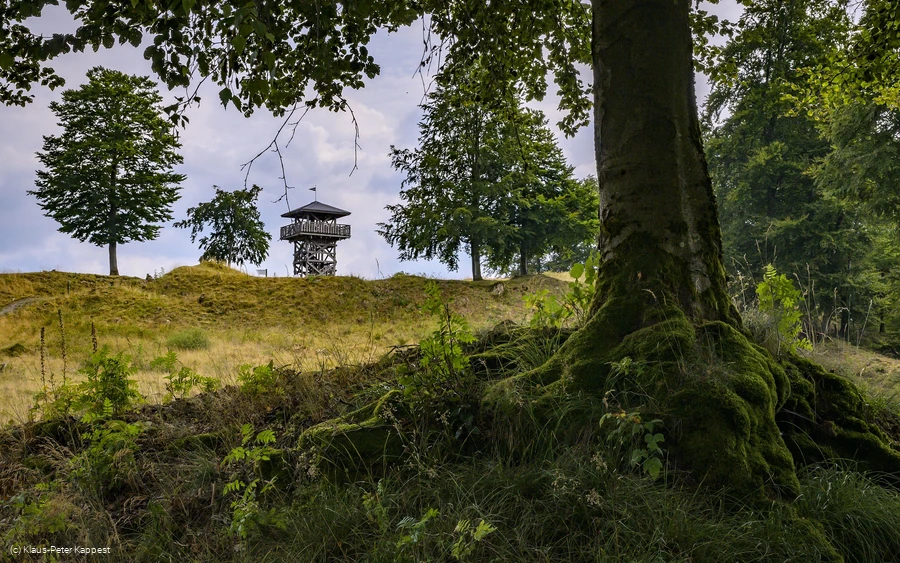 seelenort-schwalenburg-blick-auf-turm_c__klaus-peter_kappest.jpg