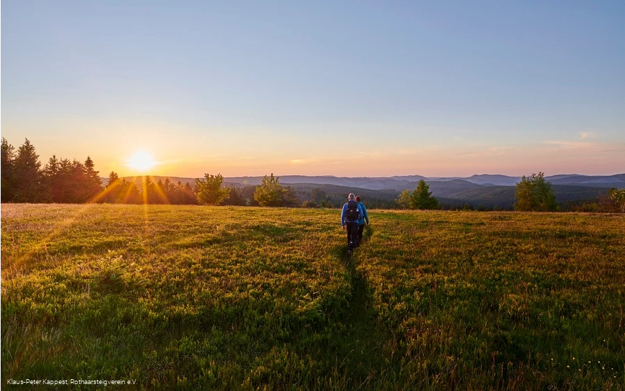 Sonnenuntergang in der Heidelandschaft auf dem Kahler Asten