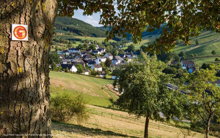 Bienenlehrpfad auf der Golddorf-Route Oberhenneborn