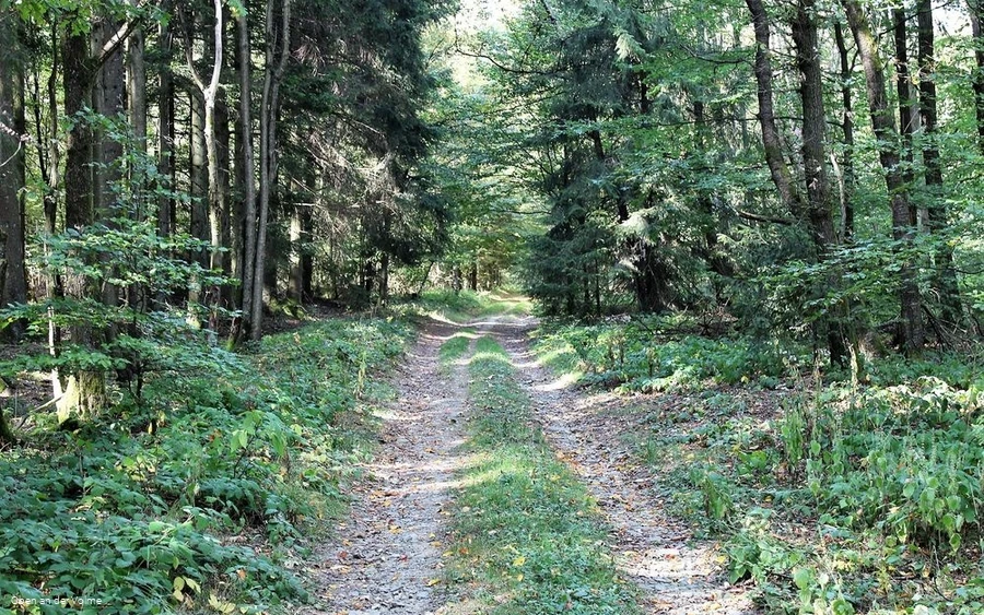 Die historische Straße im Meinerzhagener Stadtgebi