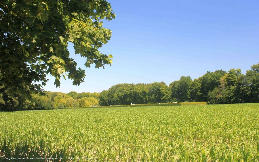 Wohnmobilplatz An den Sole-Thermen Wohnmobilplatz An den Sole-Thermen