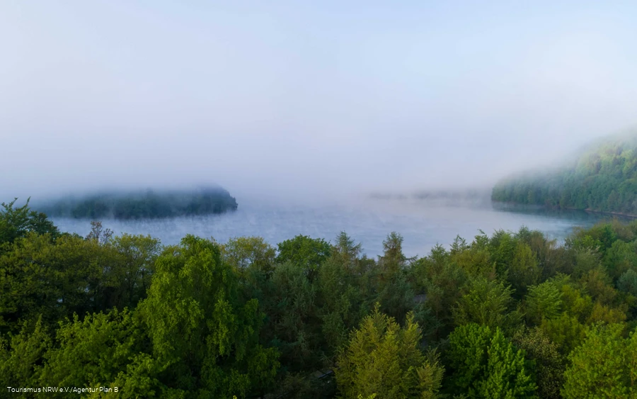 Nebelstimmung am See