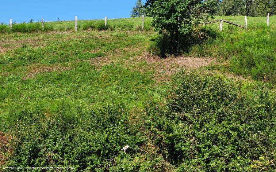 Vogelerlebnispfad Medebach-Dreislar