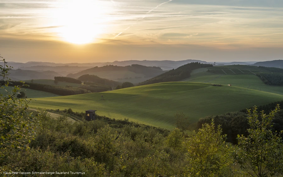 Hömberg-Panorama im Abendlicht