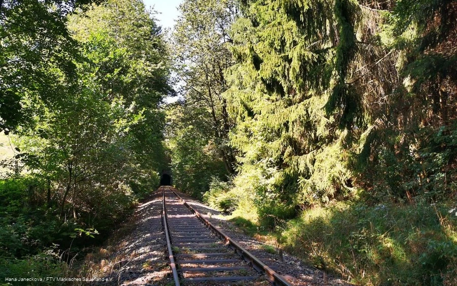 Idlyllische Streckenführung mitten durch die Natur