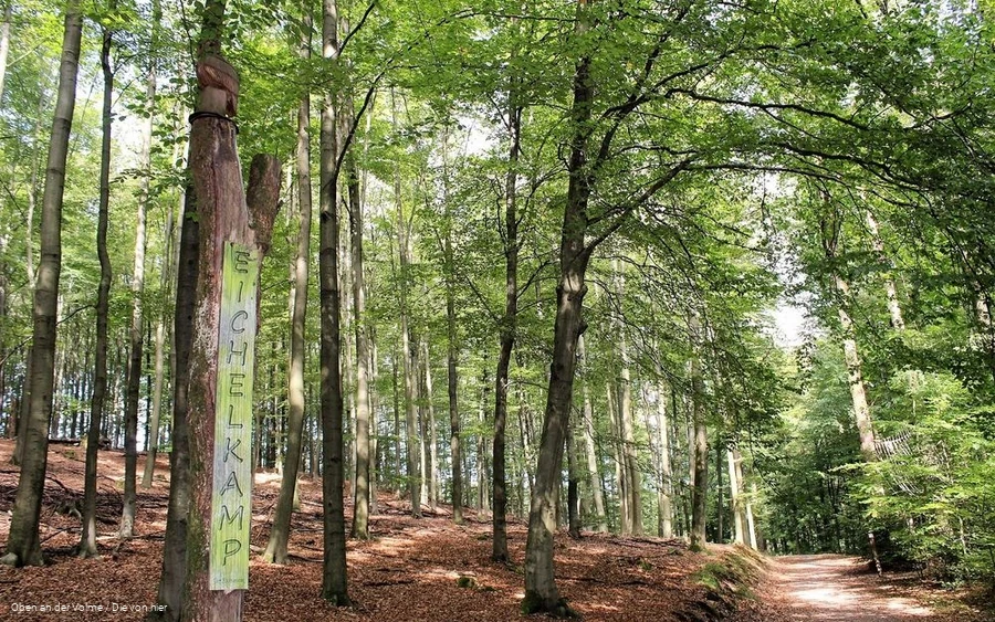 Der Lebensraum Wald ist zentrales Thema