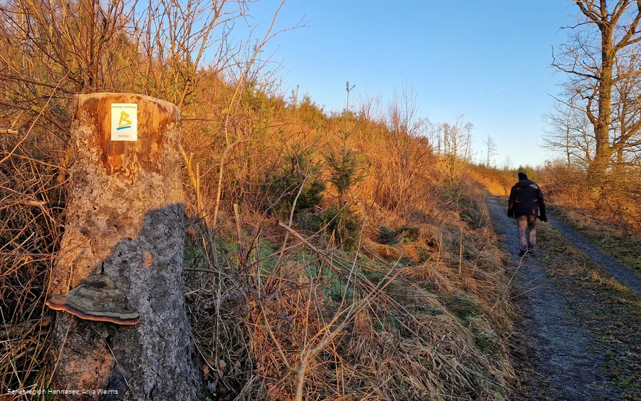 BestWeg Nuttlar Suhrenberg