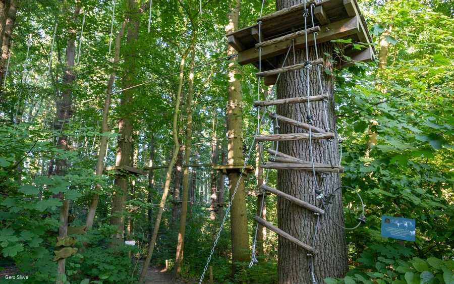 20240729_Kletterpark 1.jpg