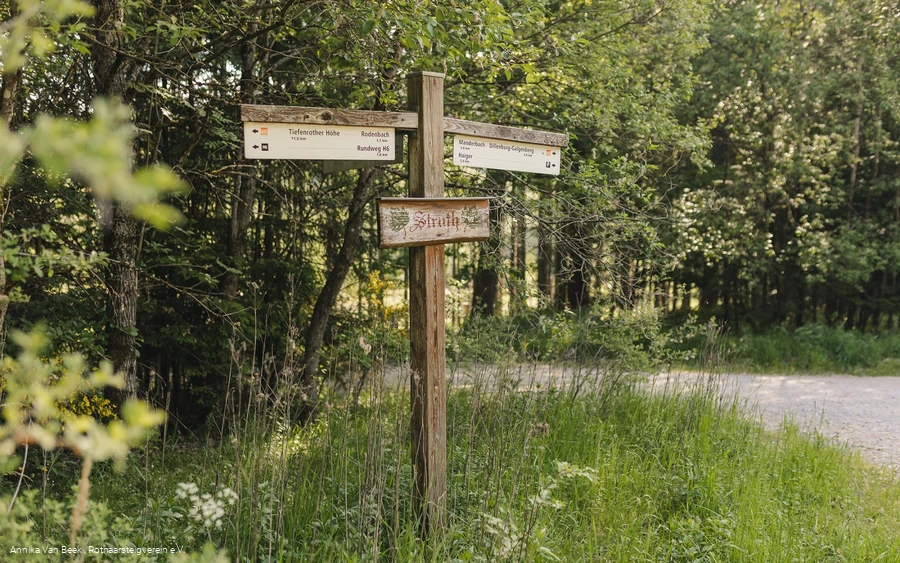 Rothaarsteig-Wegweiser auf dem Abschnitt Rodenbach - Dillenburg