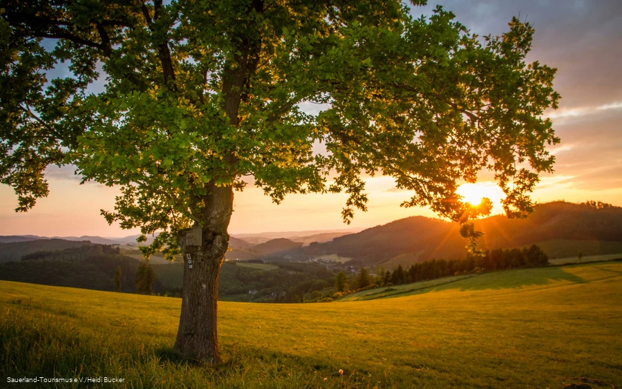 Sunset over Sauerland landscape in spring.