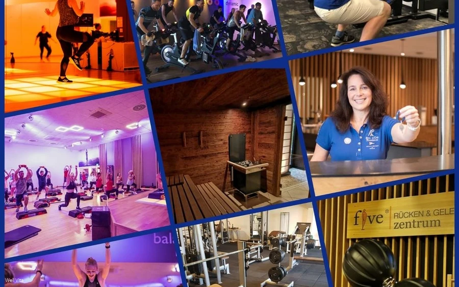 Zusammenfassung Well Vita