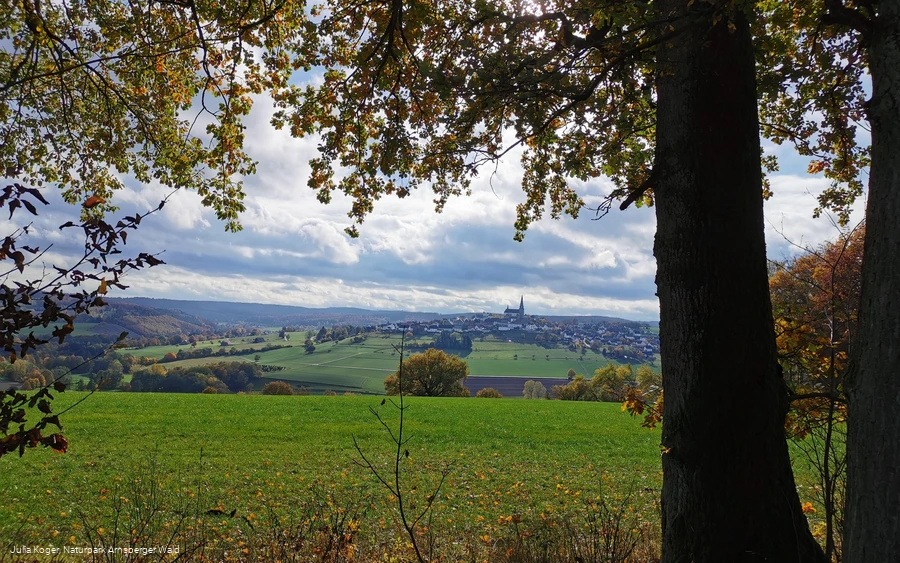 Blick auf das Bergdorf Kallenhardt
