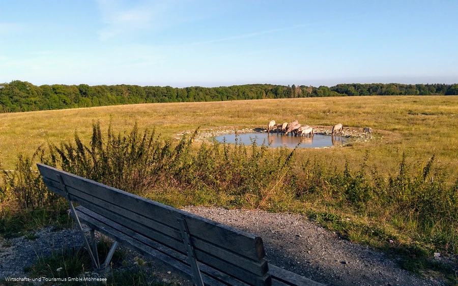 Naturschutzgebiet Kleiberg