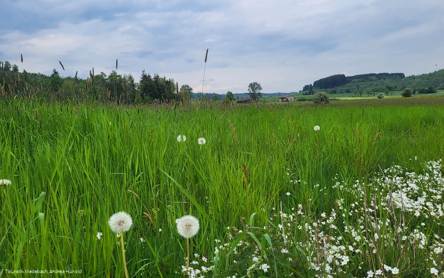 Unterwegs auf der Rotmilanrunde