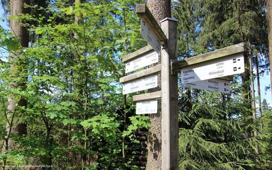 Ein vielfältiges Wanderwegenetz steht dem Wanderer Ein vielfältiges Wanderwegenetz steht dem Wanderer