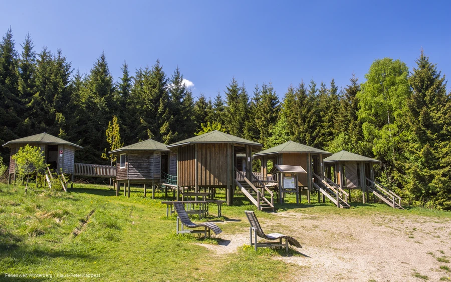 Einige runde Holzhütten mit Treppen davor umgeben von Wäldern.