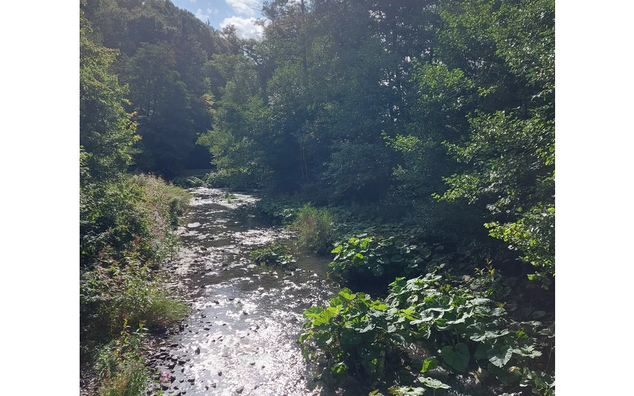 20250916_112245.jpg