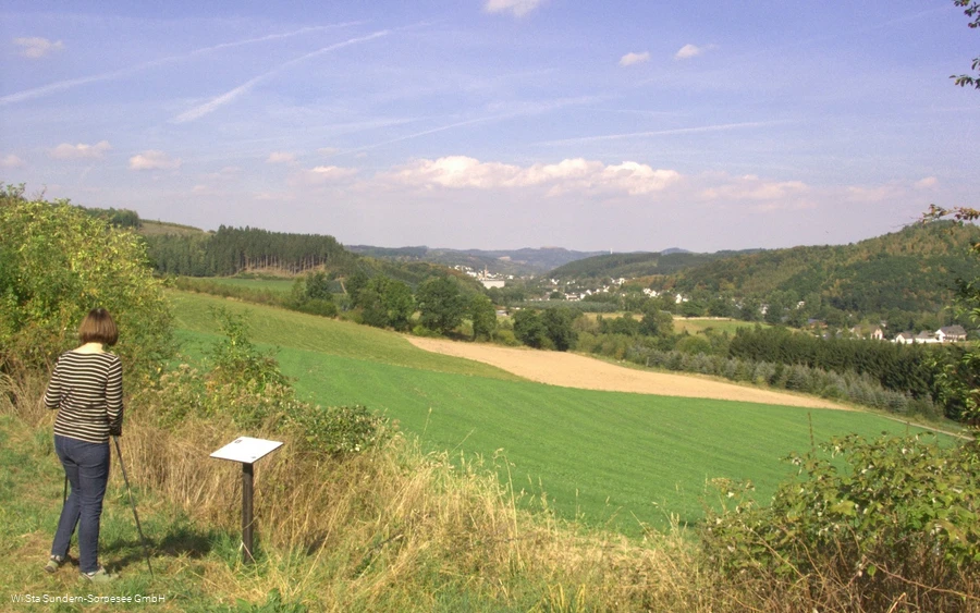 In der Eitmicke mit Blick auf Sundern