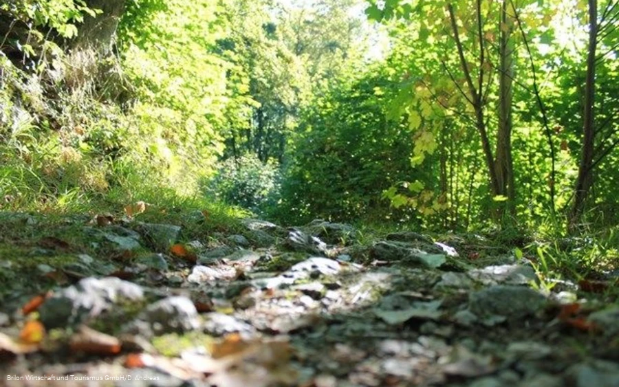 NSG Drübel NSG Drübel