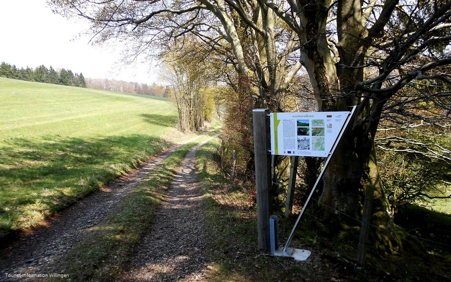 Wegweiser Goldspur Eimelrod