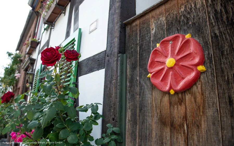 Burgstraße (c) KWL Kultur und Werbung Lippstadt GmbH Pro-t-in GmbH (2).jpg Burgstraße (c) KWL Kultur und Werbung Lippstadt GmbH Pro-t-in GmbH (2).jpg