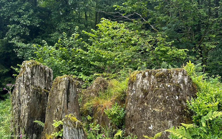 Eine Ansammlung großer Steine umgeben von Büschen und Sträuchern.