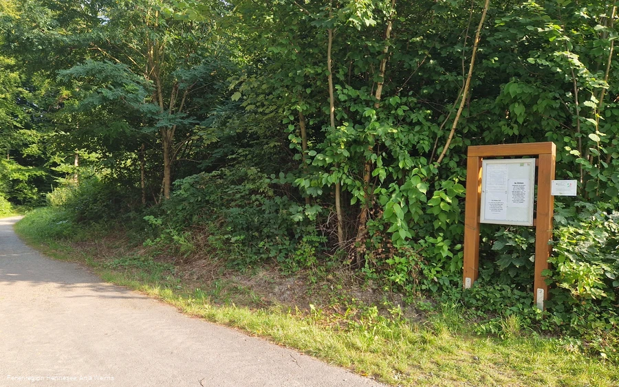 Wogenweg Start Sommer