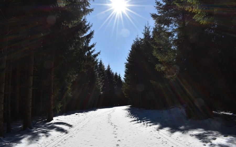 Winterspaß Rhein-Weser-Turm