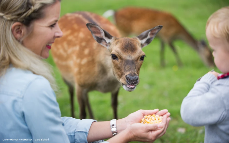 Wildpark Frankenberg (Eder)