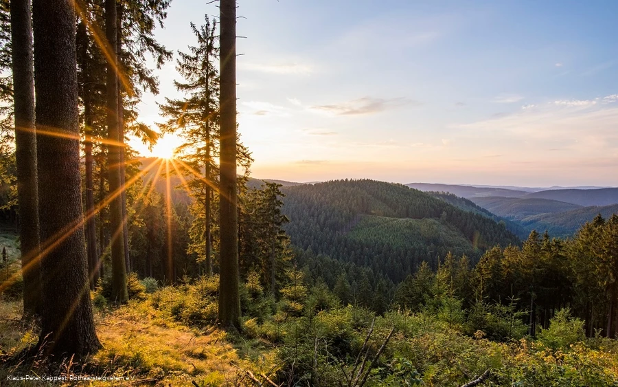 Aussicht bei Schmallenberg-Jagdhaus