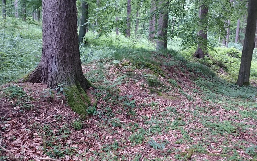 Landwehr entlang der Themenroute
