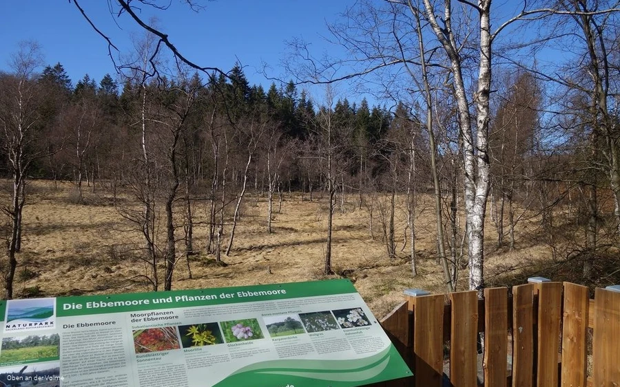 Die Infotafel hält spannende Informationen bereit