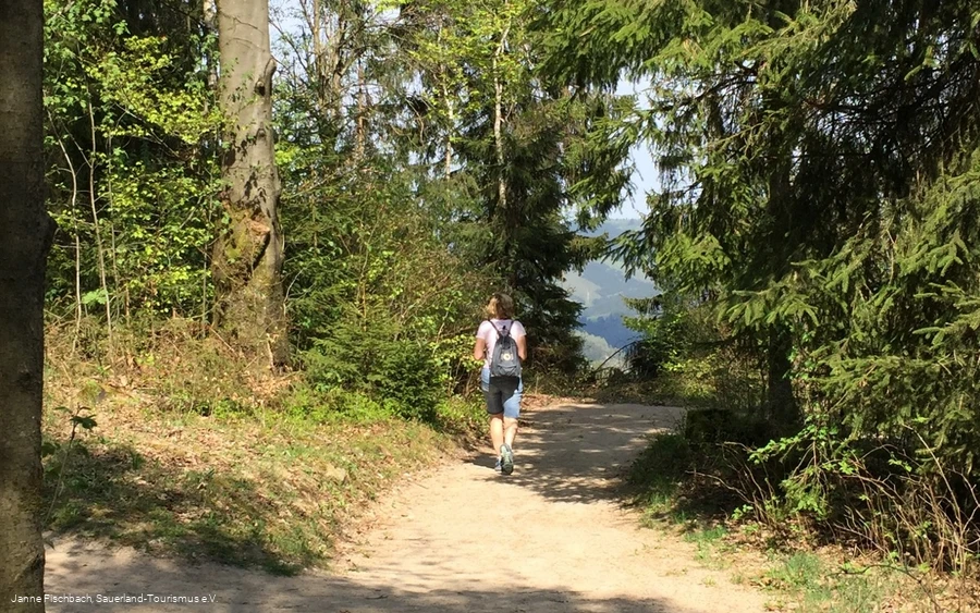 Naturerlebnispfad Hohe Bracht