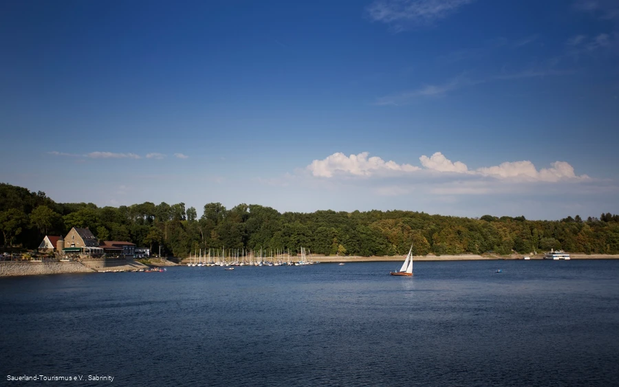 Auf dem Mohensee tummeln sich viele Segelboote.
